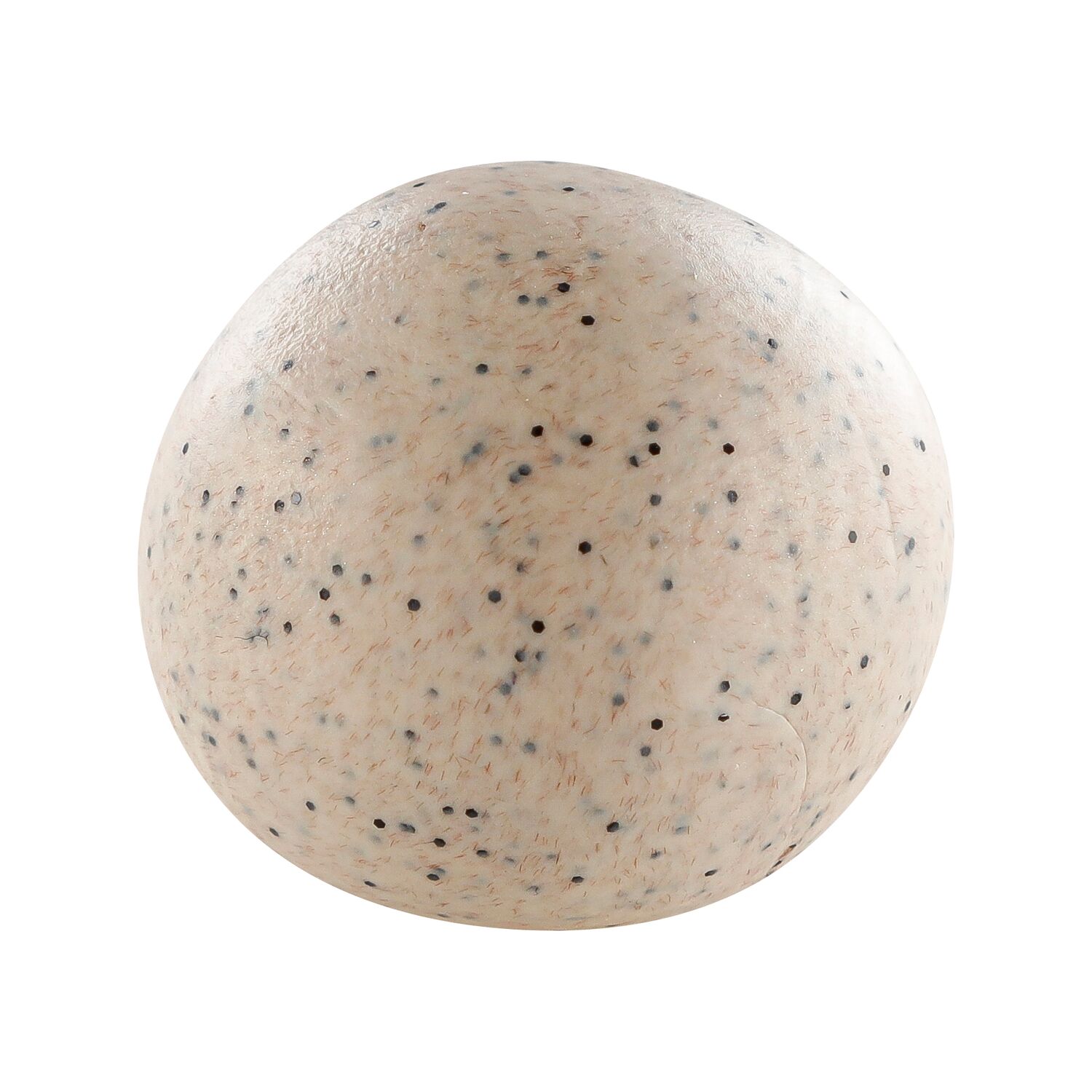 cernit-nature-savanne-56g-p-te-polym-re image 3