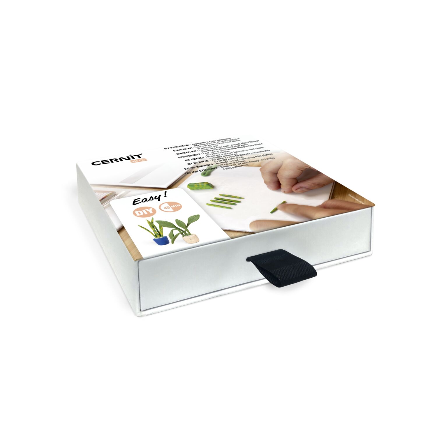 cernit-number-one-kit-starter-mini-plantes image 2