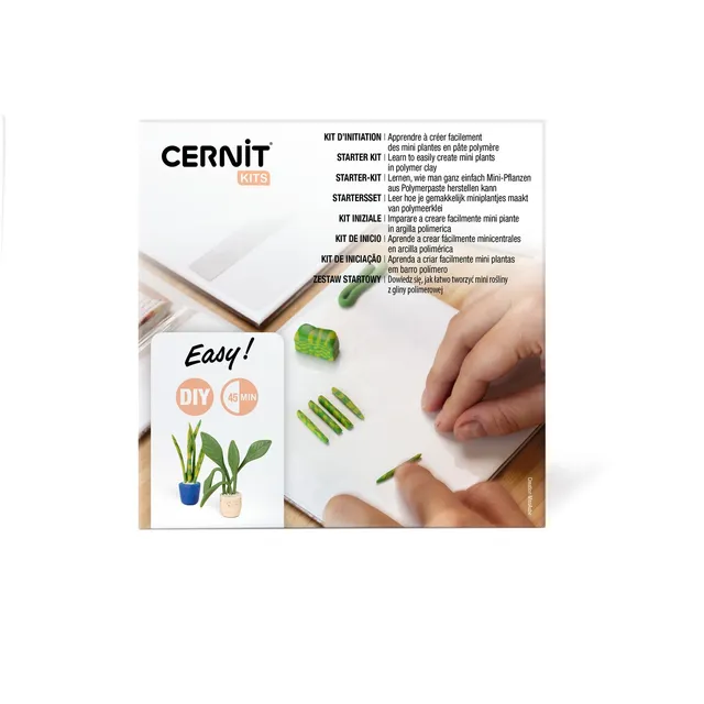 cernit-number-one-kit-starter-mini-plantes image 1