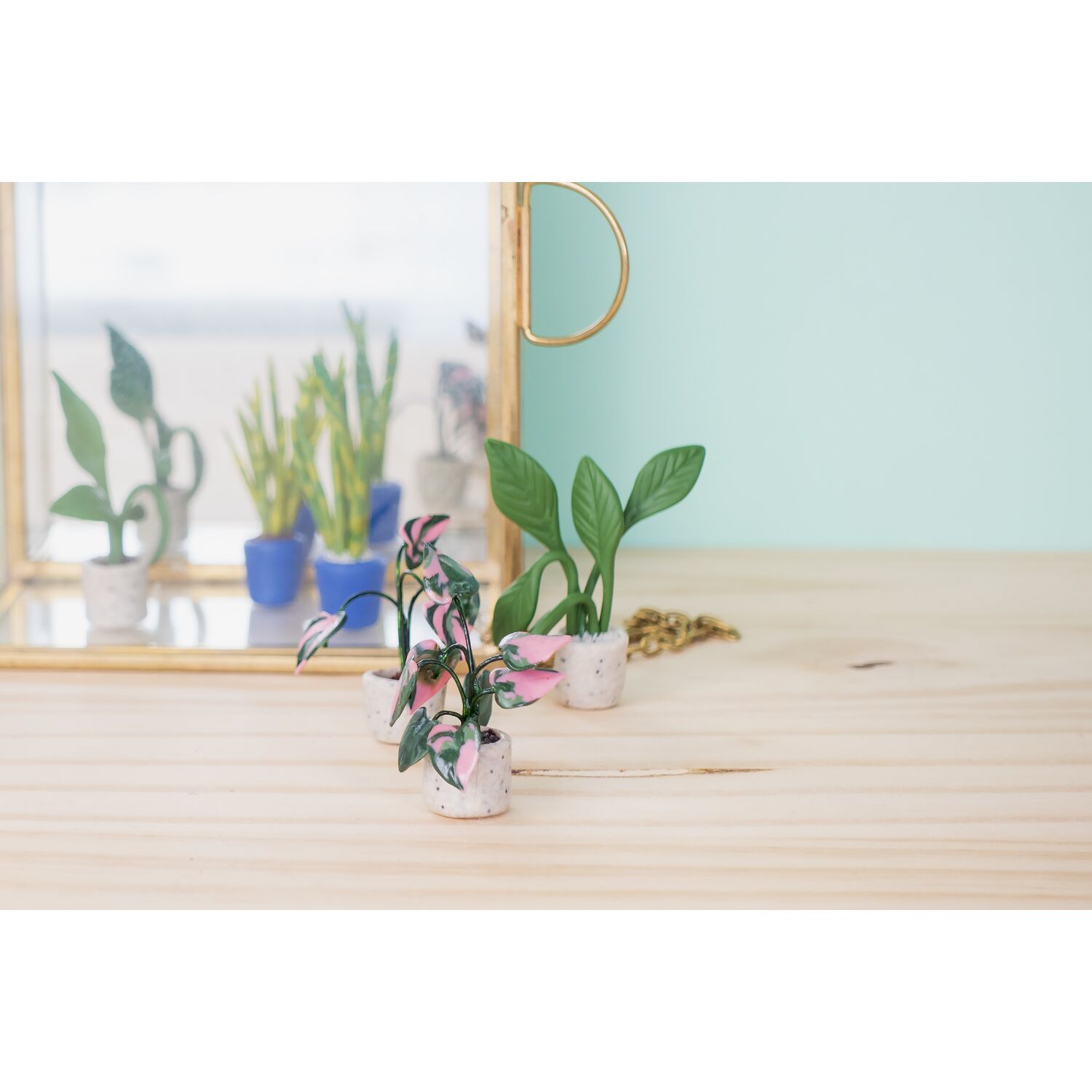 cernit-number-one-kit-starter-mini-plantes image 3